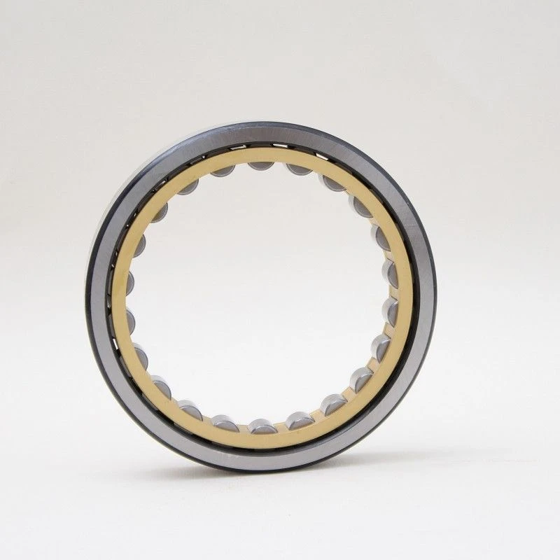 Serje NU Bearing